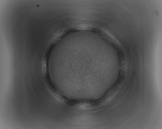 X0000111130696200907071018