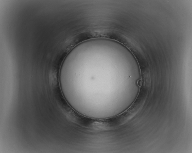 X0000111130699200907071018