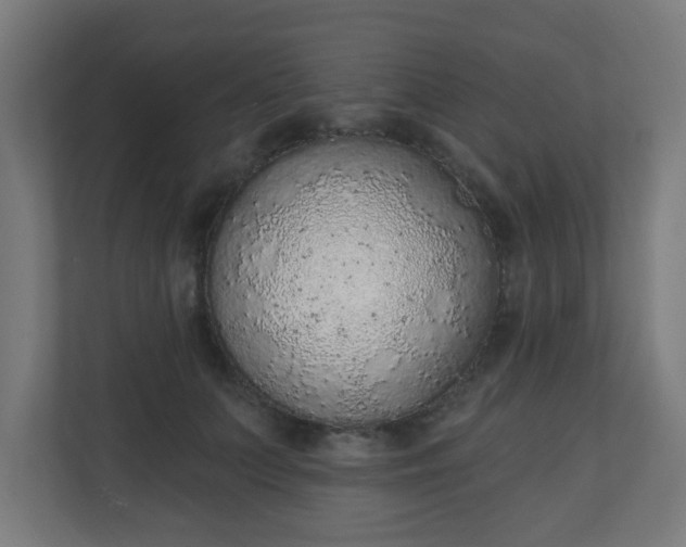 X0000111130703200907071018