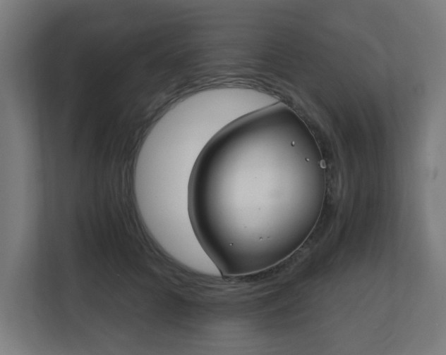 X0000111130704200907071018