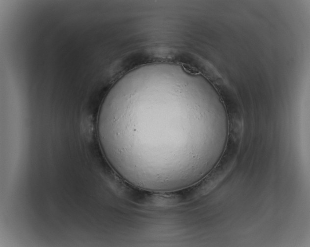 X0000111130707200907071018