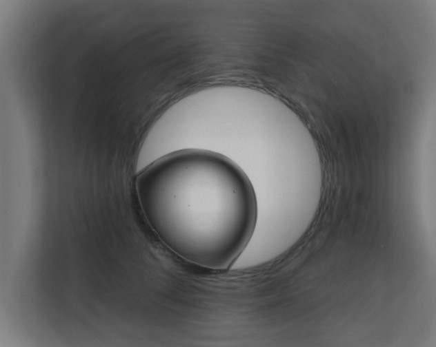 X0000111130708200907071018