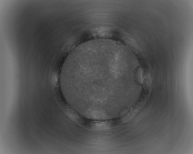 X0000111130709200907071018