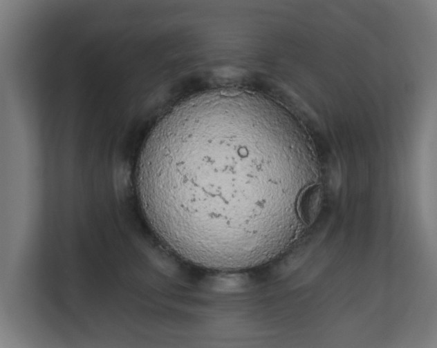 X0000111130711200907071018