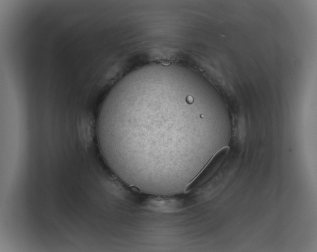 X0000111130712200907071018