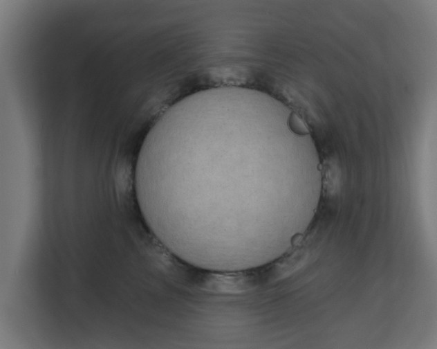 X0000111130713200907071018