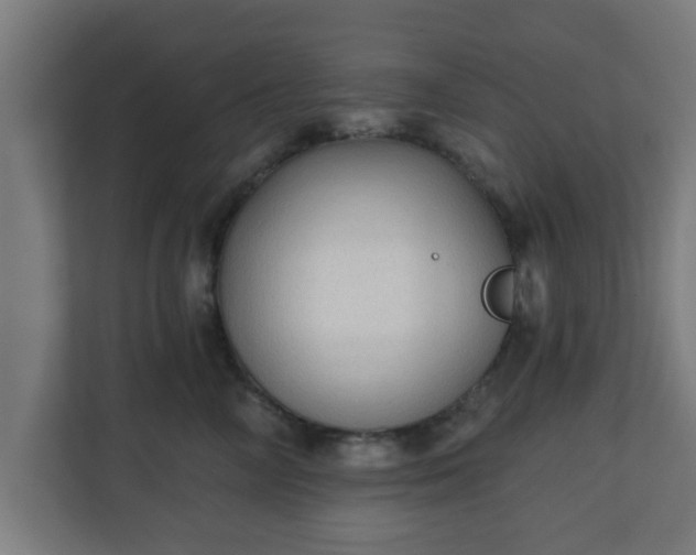 X0000111130714200907071018