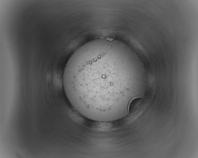 X0000111130719200907071017