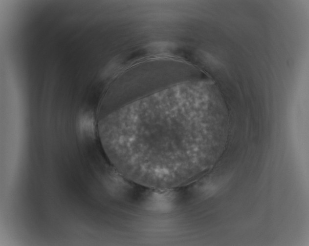 X0000111130720200907071017