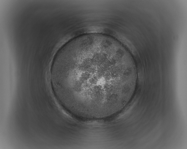 X0000111130721200907071017