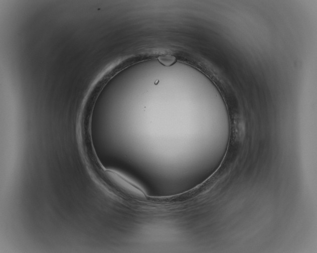 X0000111130726200907071017