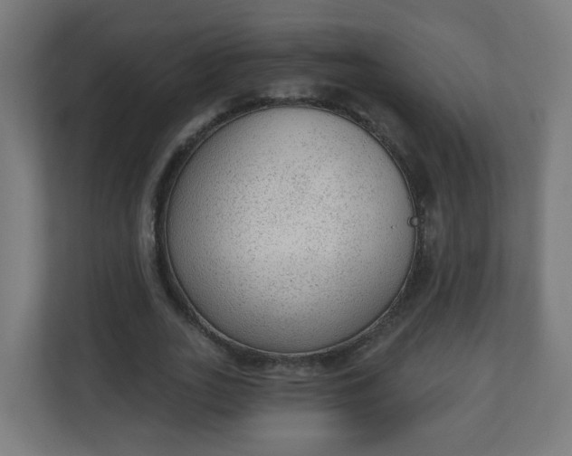X0000111130727200907071017