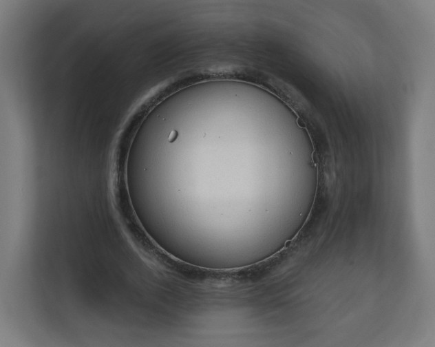 X0000111130728200907071017