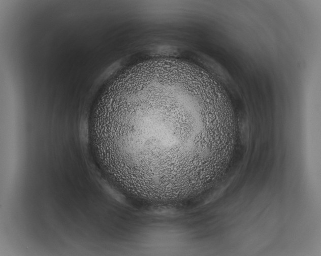 X0000111130729200907071017