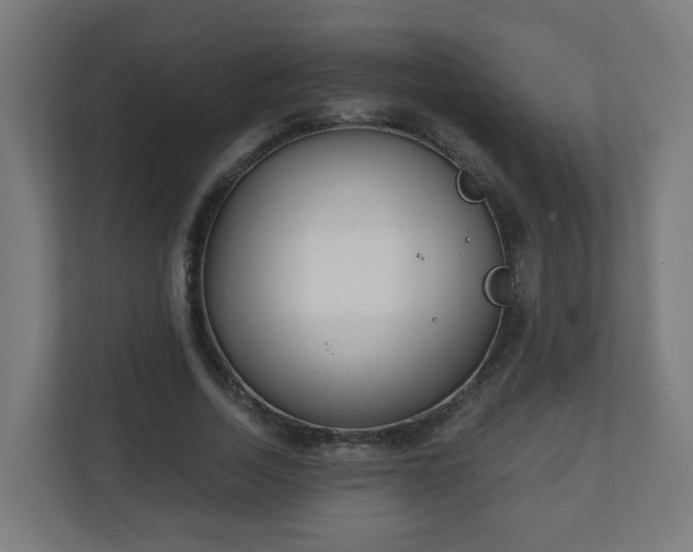 X0000111130730200907071017