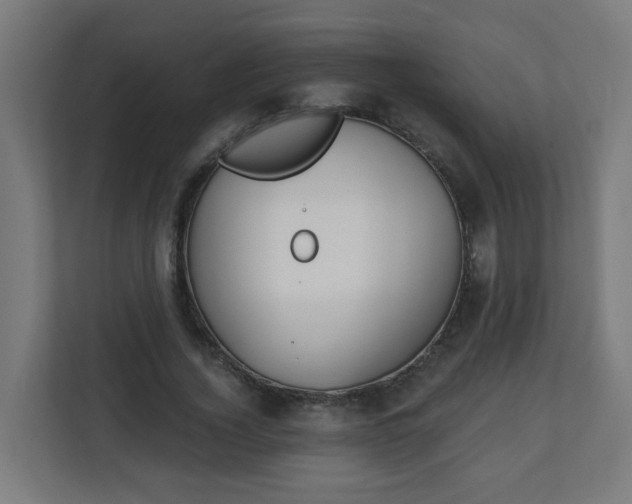 X0000111130732200907071017