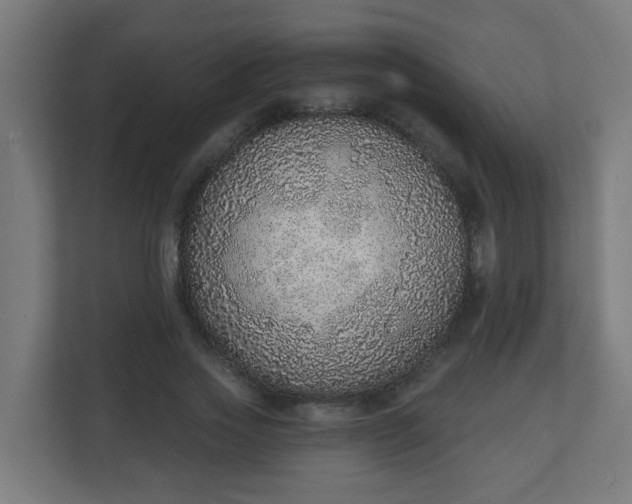 X0000111130733200907071017