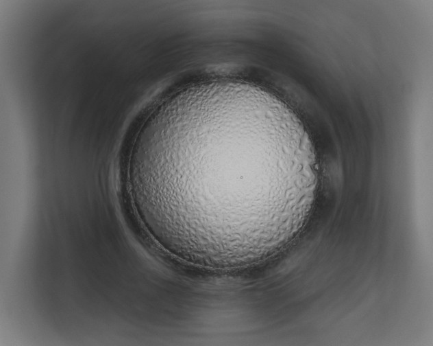 X0000111130734200907071017