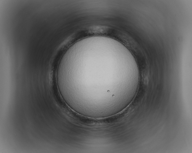 X0000111130735200907071017