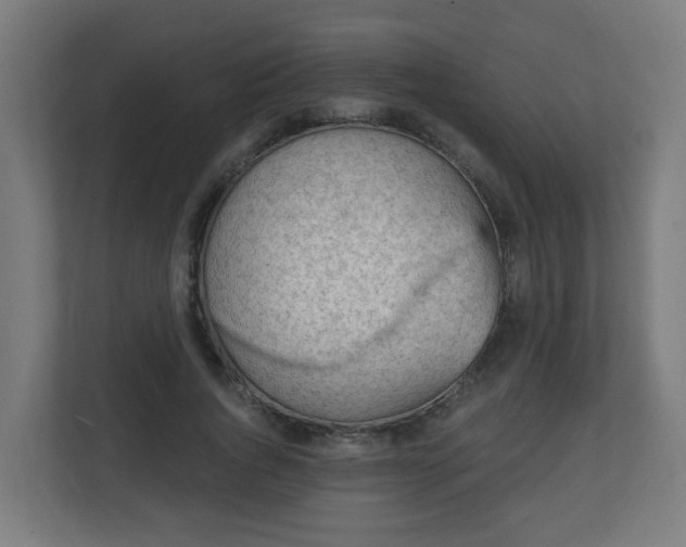 X0000111130736200907071017
