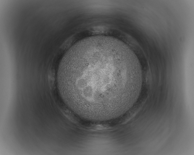 X0000111130737200907071017