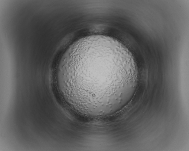 X0000111130738200907071017