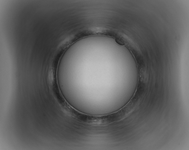 X0000111130740200907071017