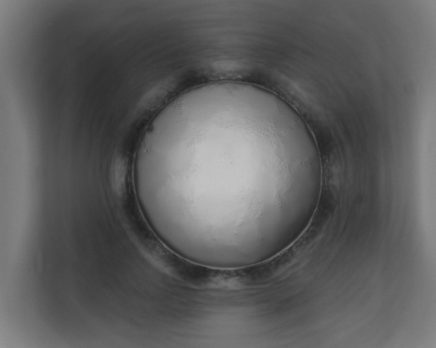 X0000111130742200907071017