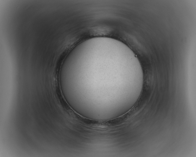 X0000111130743200907071017