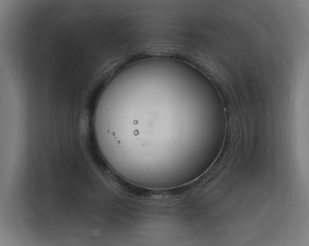 X0000111130744200907071017
