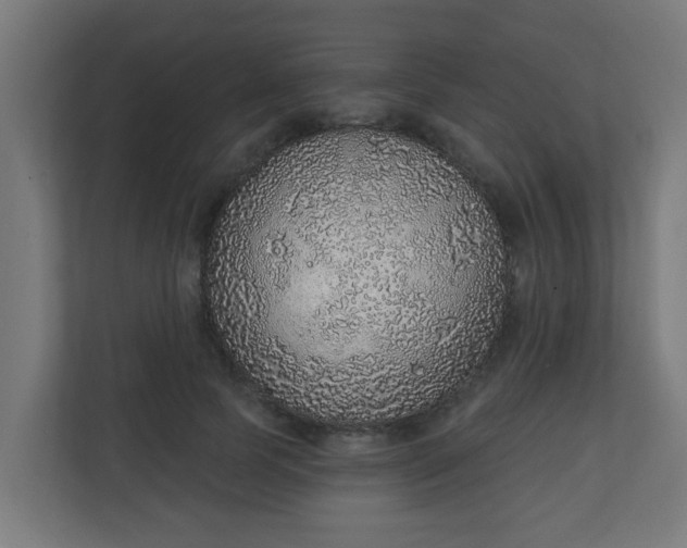 X0000111130745200907071017