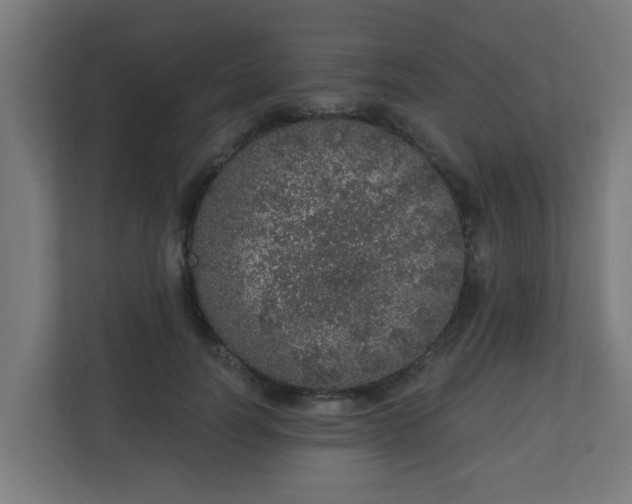 X0000111130746200907071017