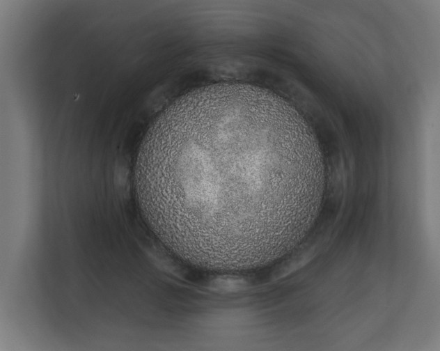 X0000111130749200907071017