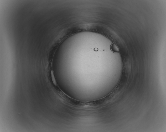 X0000111130750200907071017