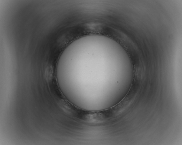X0000111130752200907071017