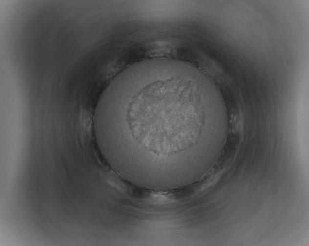 X0000111130753200907071017