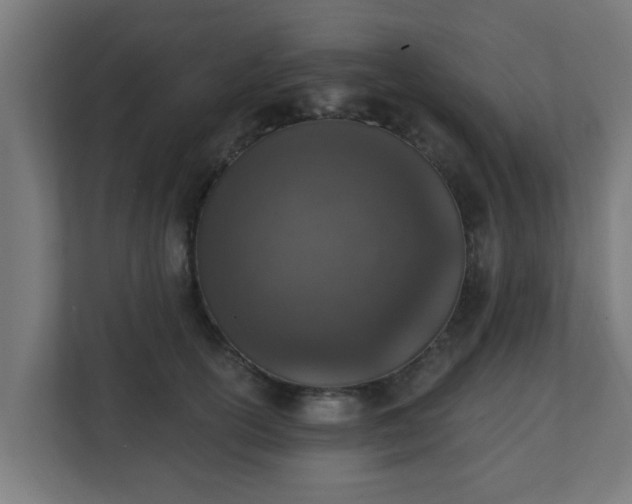 X0000111130754200907071017