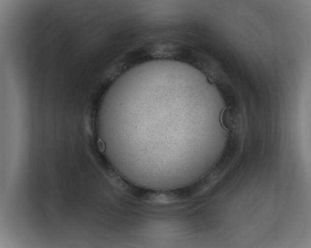 X0000111130755200907071017