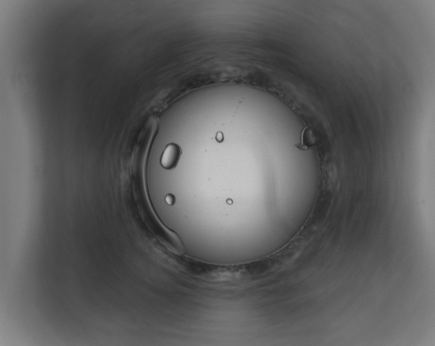 X0000111130756200907071017