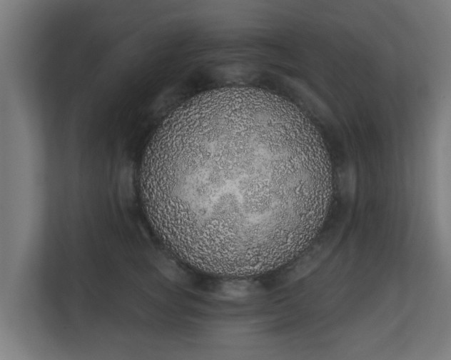 X0000111130757200907071017