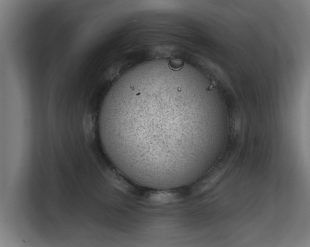 X0000111130759200907071017