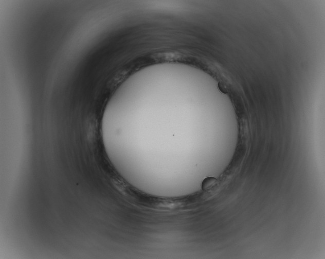 X0000111130760200907071017