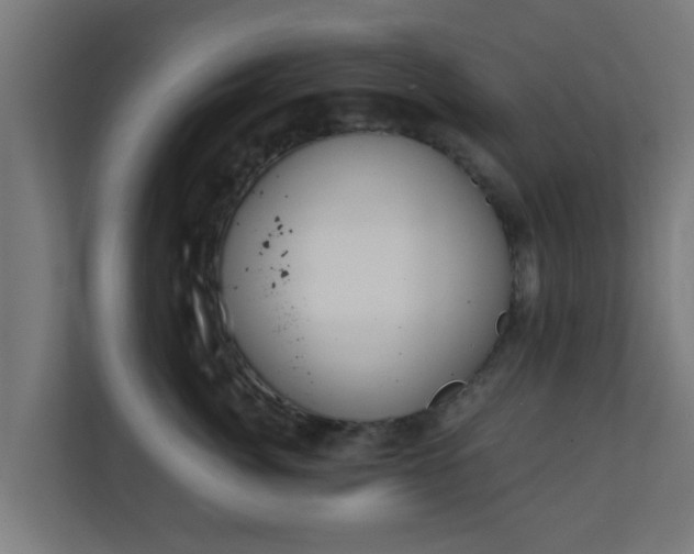 X0000111130764200907071017