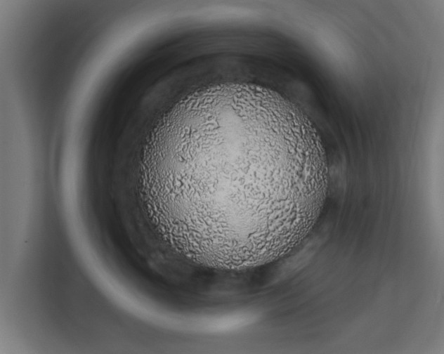 X0000111130765200907071017