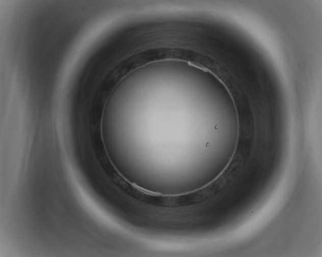 X0000111130766200907071017