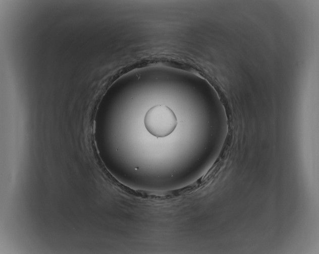 X0000111130769200907071017