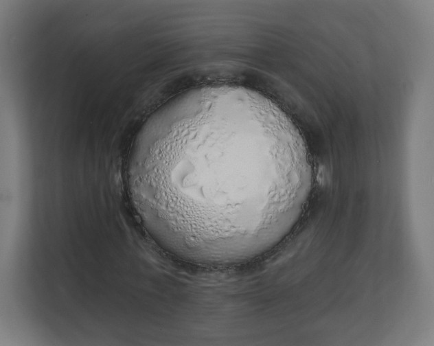 X0000111130771200907071017
