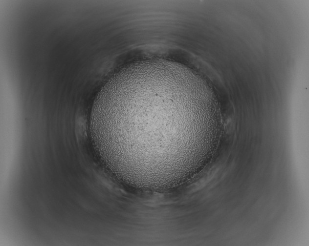 X0000111130772200907071017