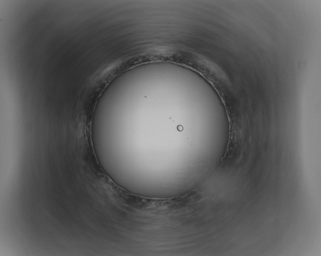 X0000111130773200907071017