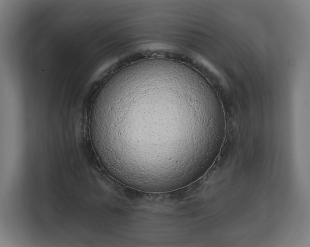 X0000111130775200907071017